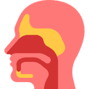 π©Ί ENT Consultation